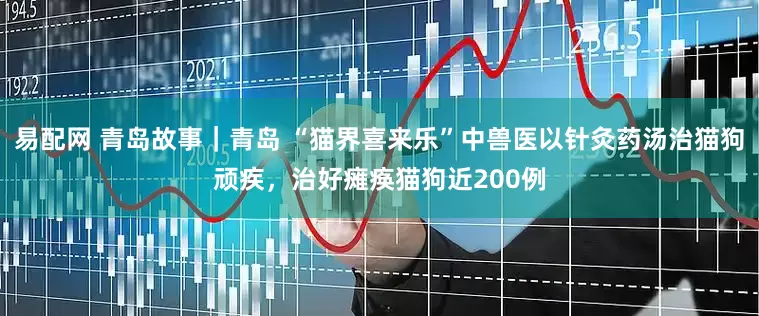 易配网 青岛故事｜青岛 “猫界喜来乐”中兽医以针灸药汤治猫狗顽疾，治好瘫痪猫狗近200例